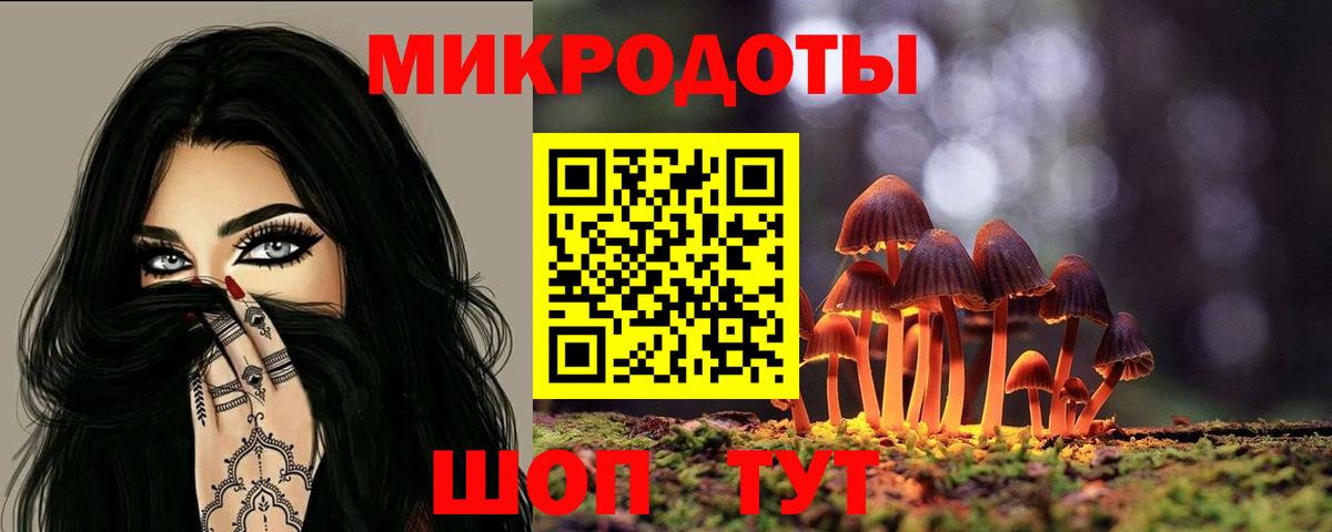 Псилоцибиновые грибы Cubensis  Вход с VPN  Усть-Лабинск 