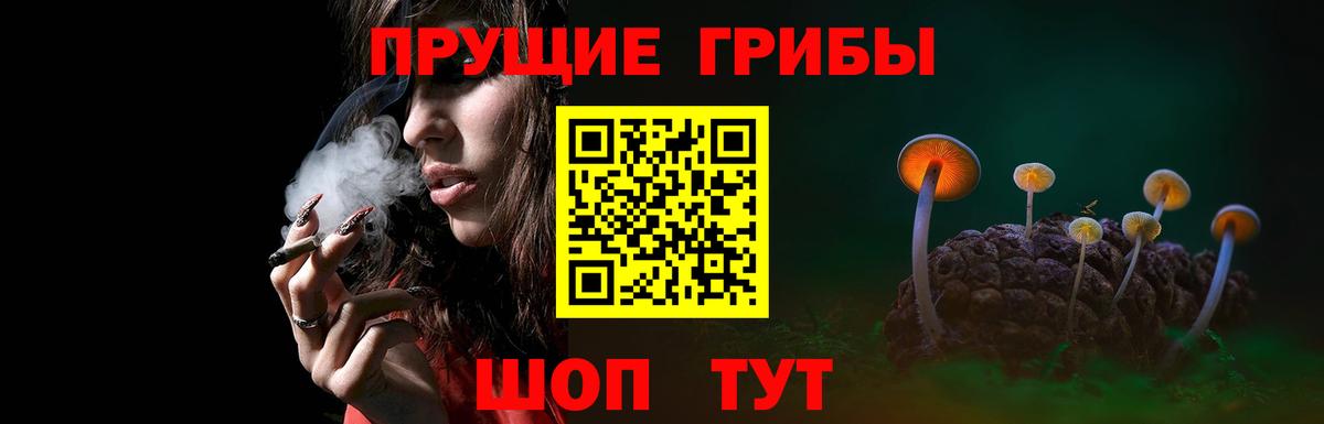 Псилоцибиновые грибы мицелий Усть-Лабинск